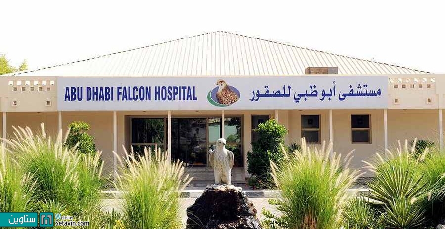 بزرگترین بیمارستان شاهین دنیا در ابوظبی