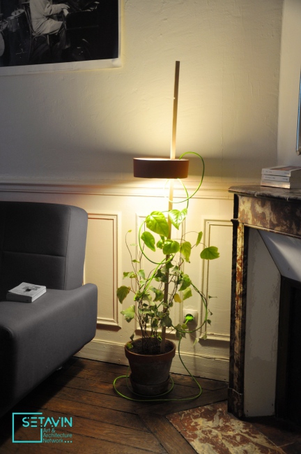 کشت گیاه در آپارتمان ,کشت کننده خانگی شرکت  AAVRA , المان و منبع نوری عملکردگرا ، اثر شرکت AAVRA