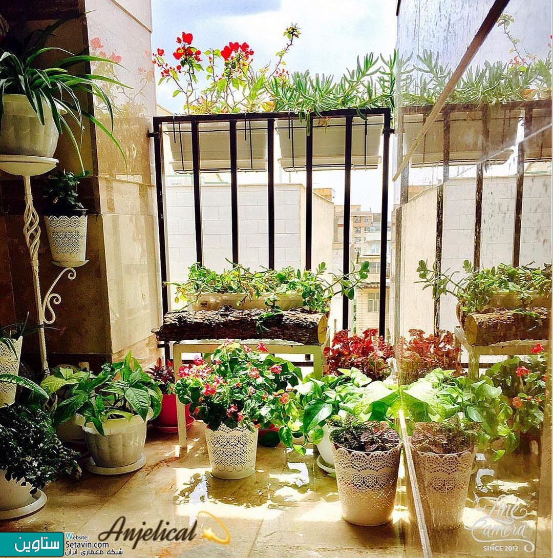 گل و گیاه در تراس خانه های ایرانی