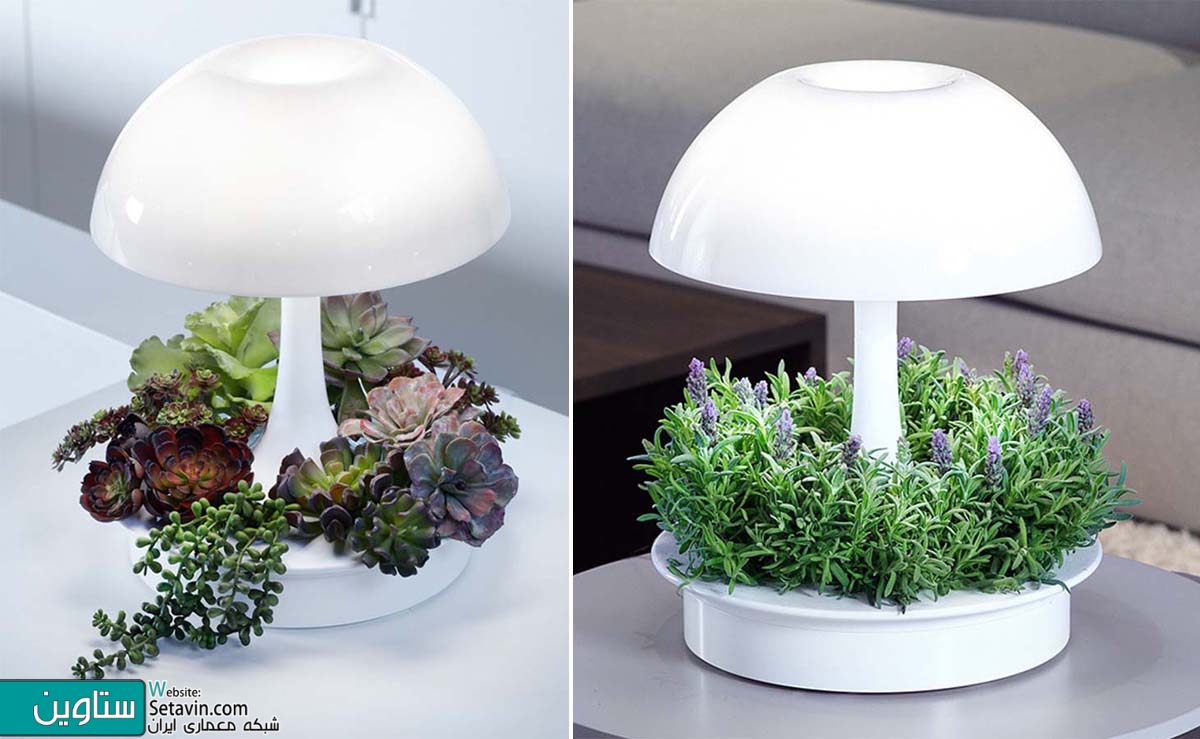لامپ رومیزی مدرن Ambienta
