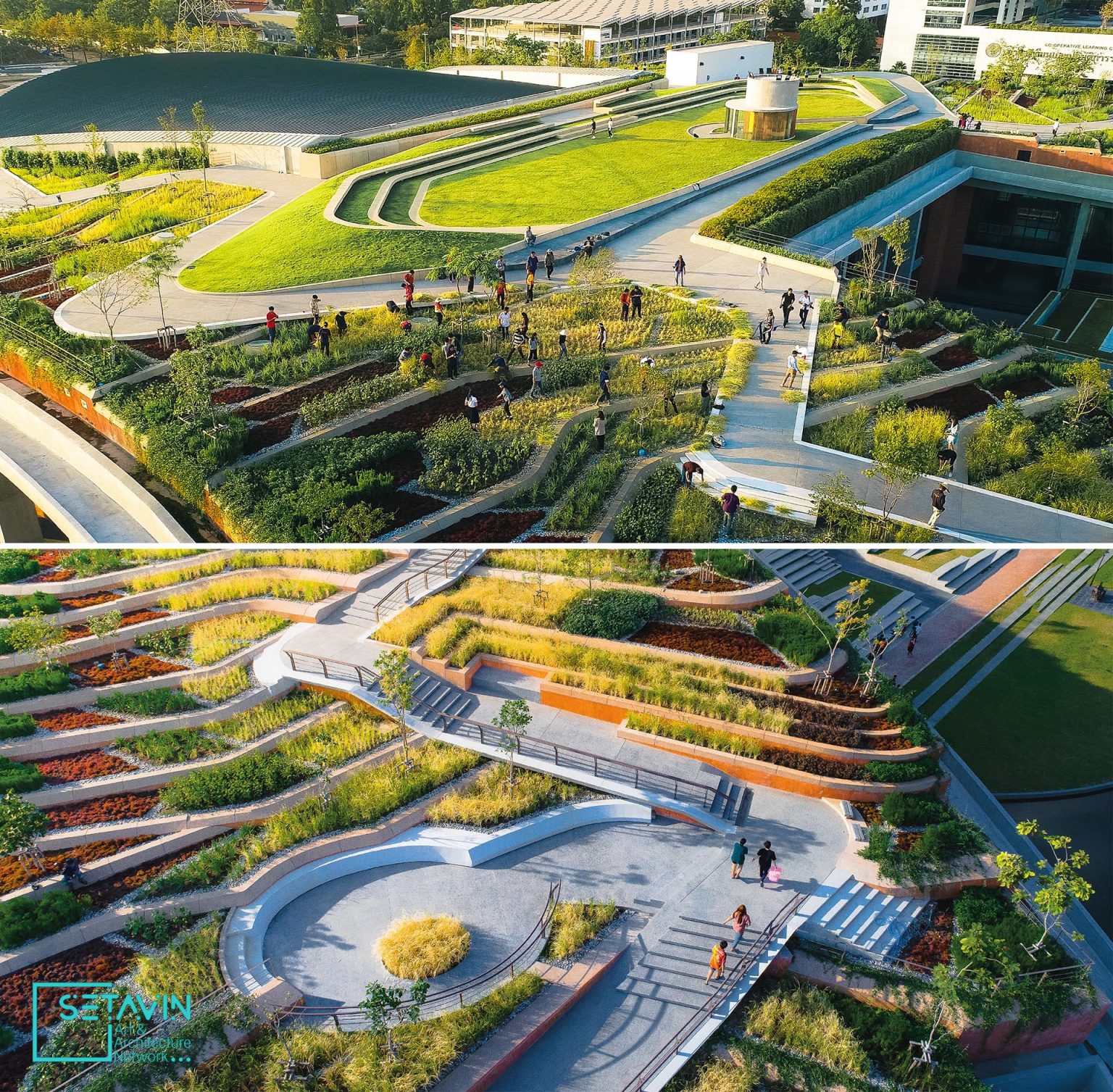طراحی مزرعه شهری شگفت انگیزی در روف گاردن ساختمانی در بانکوک تایلند