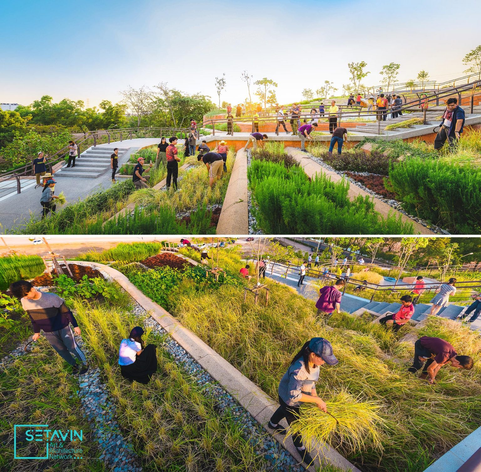 طراحی مزرعه شهری شگفت انگیزی در روف گاردن ساختمانی در بانکوک تایلند