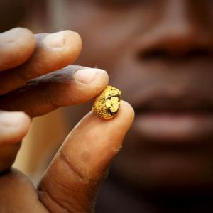 عکس - تصاویری از استخراج طلا در ساحل عاج
