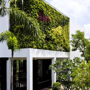 عکس - ادغام طبیعت و معماری در خانه سبز