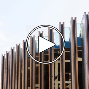 تصویر - پاویون ژاپن در اکسپو ۲۰۲۵ اوساکا | معماری چرخه حیات با طراحی نوآورانه - معماری