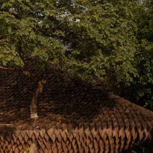 تصویر - خانه پل ، تجربه‌ای معمارانه میان زمین و آسمان ، اثر Wallmakers ، هند - معماری