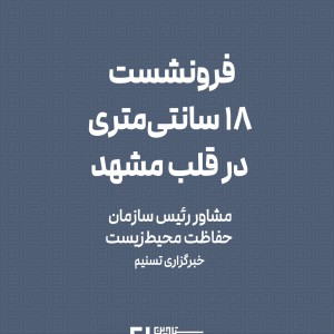 تصویر - فرونشست ۱۸ سانتی‌متری در قلب مشهد - معماری