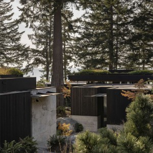 تصویر - مسکونی لانگ‌برنچ (Longbranch Residence) ، دفتر معماری mwworks ، آمریکا - معماری