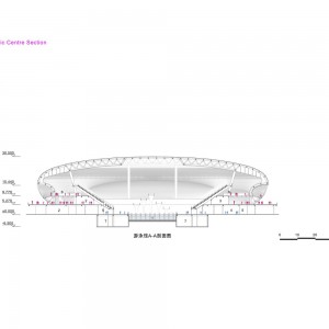تصویر - مرکز ورزشی Greater Bay Area Sports Center ، اثر تیم معماری Zaha Hadid Architects ، چین - معماری