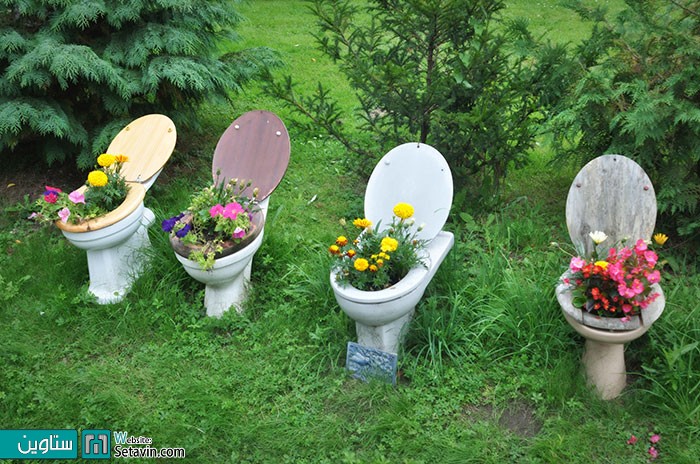گلهای سبز شده برروی توالت فرنگی