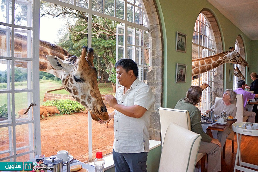 خانه زرافه ها در کنیا