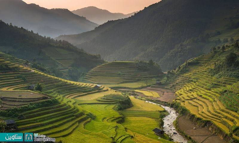 مزارع بی نظیربرنج در منطقه Mu Cang Chai  ویتنام
