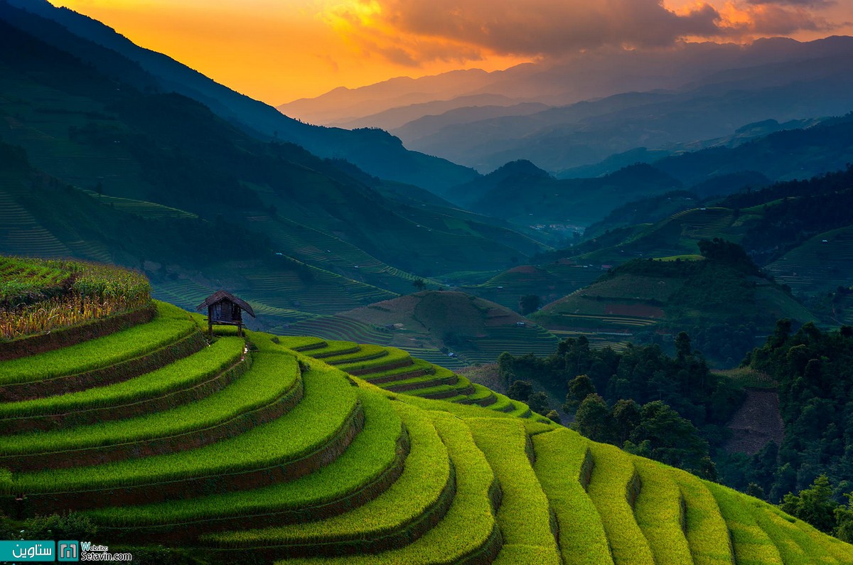 مزارع بی نظیربرنج در منطقه Mu Cang Chai  ویتنام