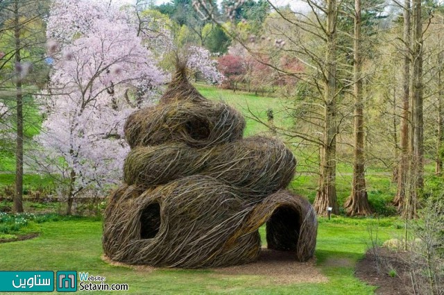 مجسمه هایی خیره کننده شبیه لانه پرندگان از شاخه های چوبی
