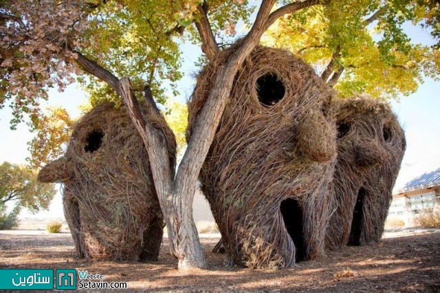 مجسمه هایی خیره کننده از شاخه های چوبی