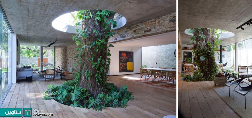 ترکیب هوشمندانه ساختمان با درختان