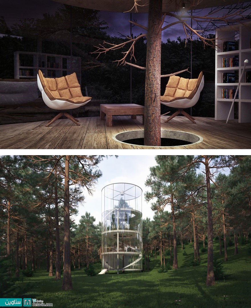 خانه ای استوانه ای شکل و شیشه ای ساخته شده به گرد یک درخت