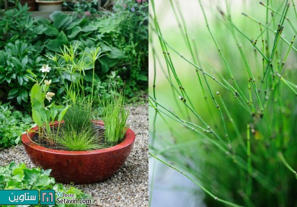 حوضچه ای زیبا درون باغچه یا تراس خانه تان بسازید.