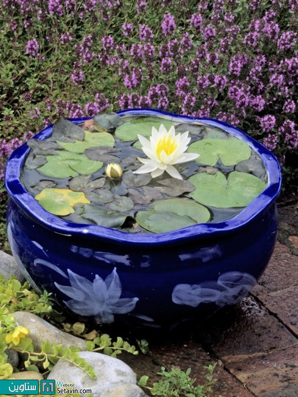 حوضچه ای زیبا درون باغچه یا تراس خانه تان بسازید.